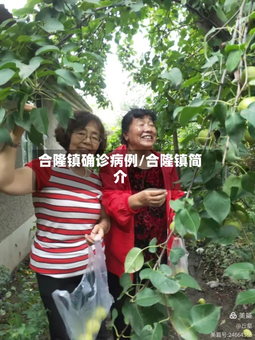 合隆镇确诊病例/合隆镇简介