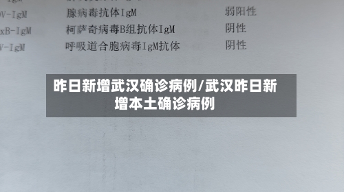 昨日新增武汉确诊病例/武汉昨日新增本土确诊病例