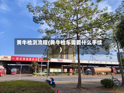 黄牛检测流程(黄牛检车需要什么手续)-第2张图片