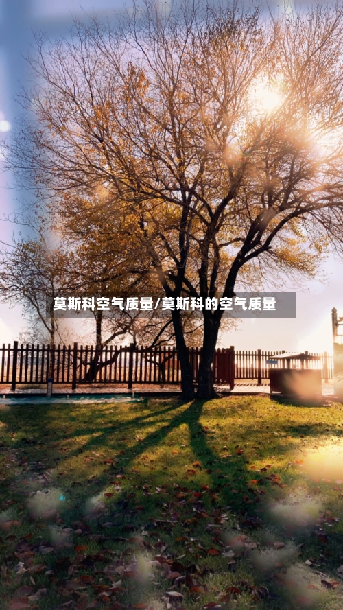 莫斯科空气质量/莫斯科的空气质量-第3张图片