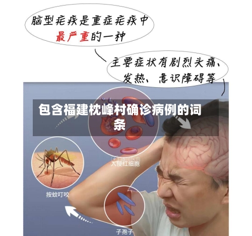包含福建枕峰村确诊病例的词条-第3张图片