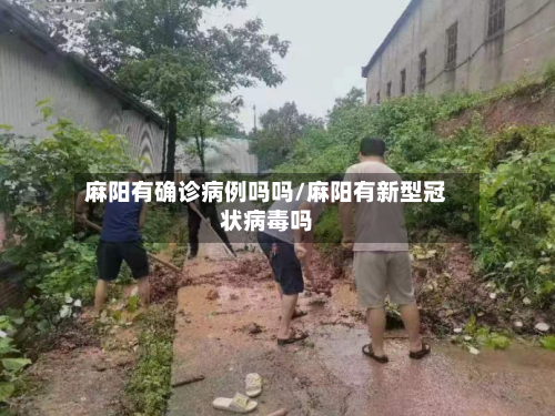麻阳有确诊病例吗吗/麻阳有新型冠状病毒吗-第2张图片