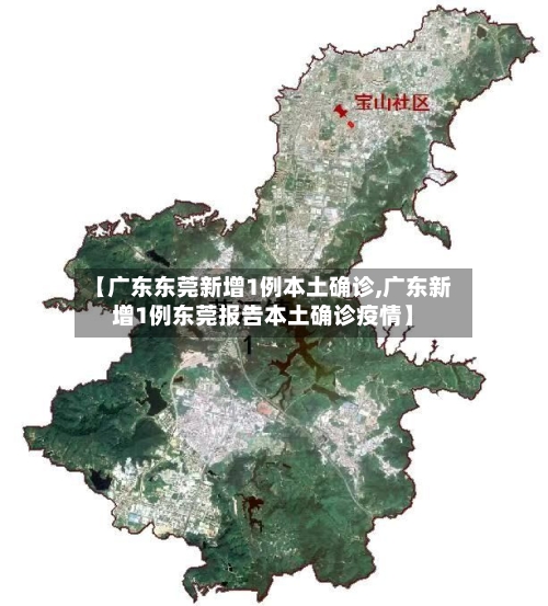 【广东东莞新增1例本土确诊,广东新增1例东莞报告本土确诊疫情】