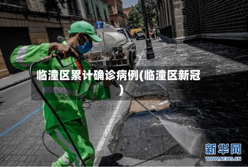 临潼区累计确诊病例(临潼区新冠)-第2张图片