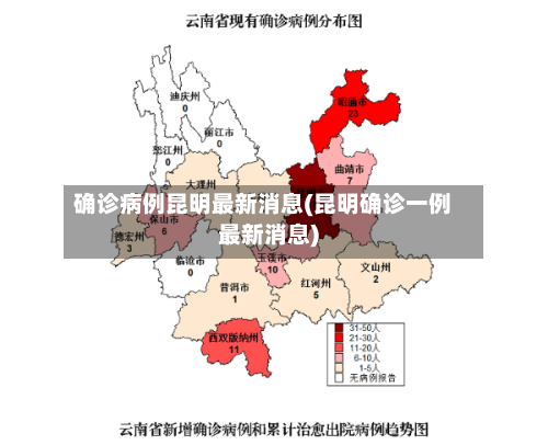 确诊病例昆明最新消息(昆明确诊一例最新消息)-第3张图片