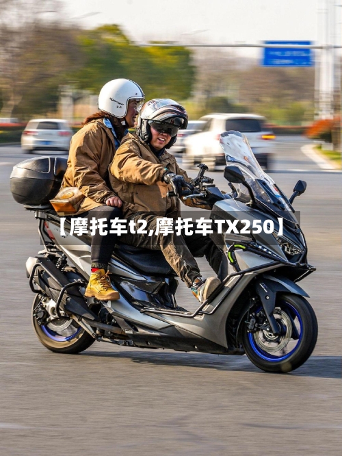 【摩托车t2,摩托车TX250】