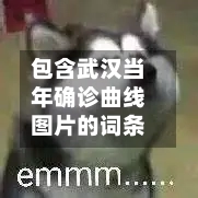 包含武汉当年确诊曲线图片的词条