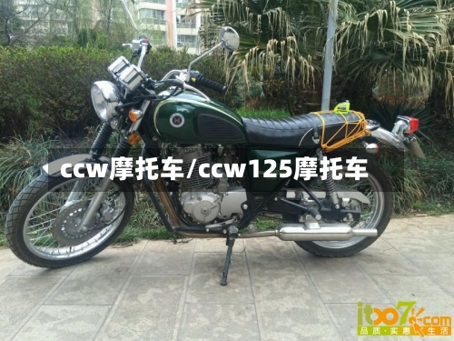 ccw摩托车/ccw125摩托车