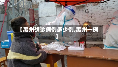 【禹州确诊病例多少例,禹州一例】