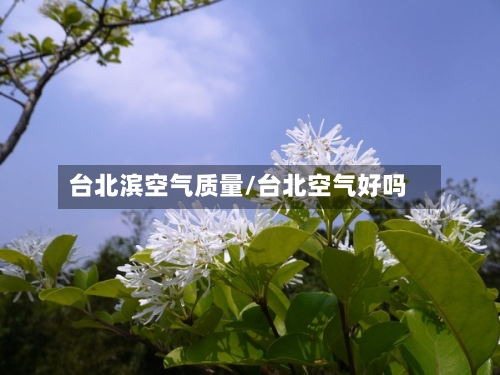 台北滨空气质量/台北空气好吗-第2张图片