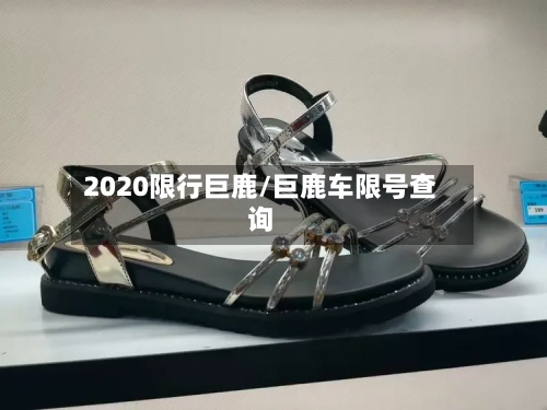 2020限行巨鹿/巨鹿车限号查询