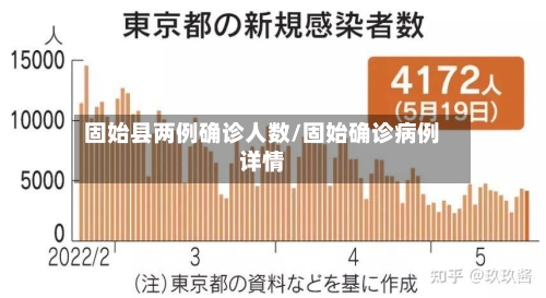 固始县两例确诊人数/固始确诊病例详情