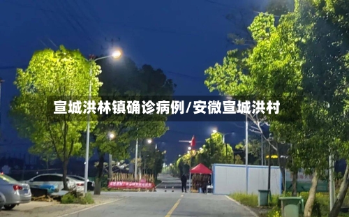 宣城洪林镇确诊病例/安微宣城洪村