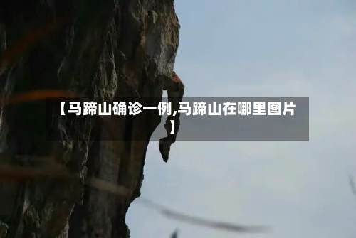 【马蹄山确诊一例,马蹄山在哪里图片】
