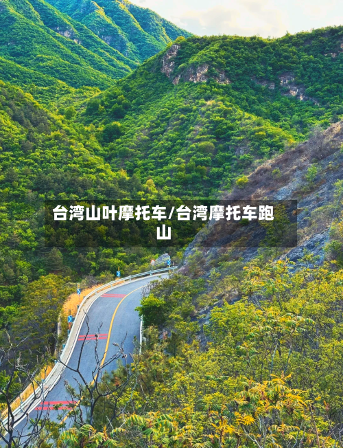 台湾山叶摩托车/台湾摩托车跑山-第3张图片