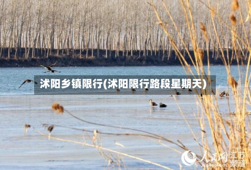 沭阳乡镇限行(沭阳限行路段星期天)-第3张图片
