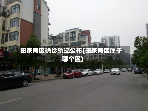 田家庵区确诊轨迹公布(田家庵区属于哪个区)-第3张图片