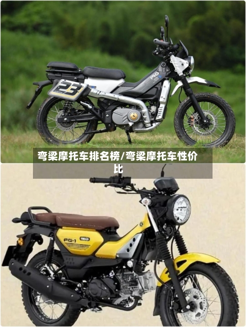 弯梁摩托车排名榜/弯梁摩托车性价比