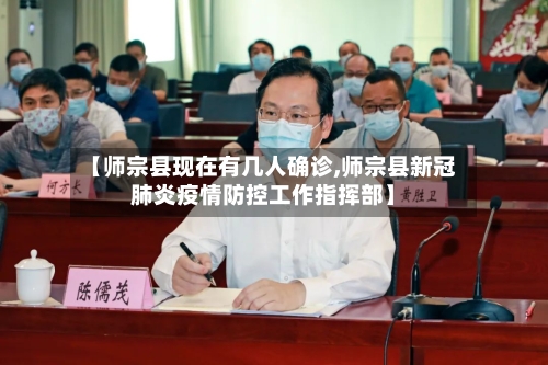 【师宗县现在有几人确诊,师宗县新冠肺炎疫情防控工作指挥部】