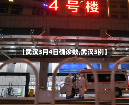 【武汉3月4日确诊数,武汉3例】-第2张图片