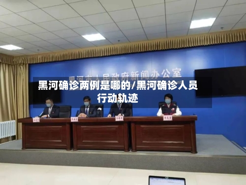 黑河确诊两例是哪的/黑河确诊人员行动轨迹