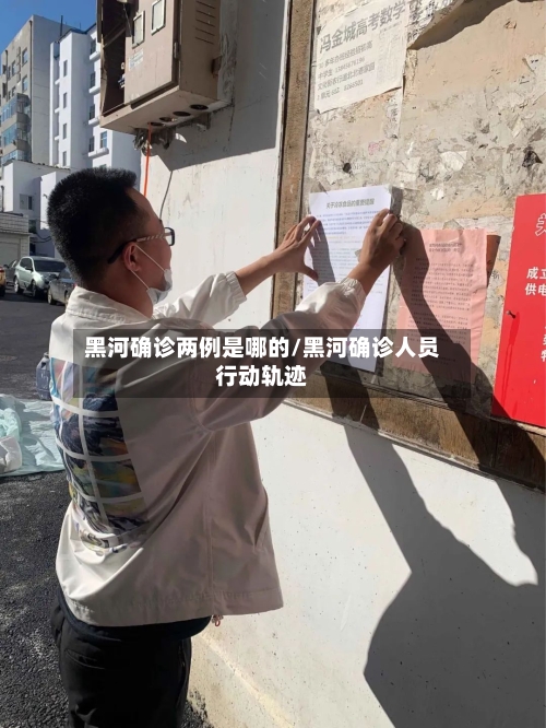 黑河确诊两例是哪的/黑河确诊人员行动轨迹-第3张图片
