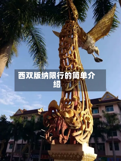 西双版纳限行的简单介绍-第2张图片