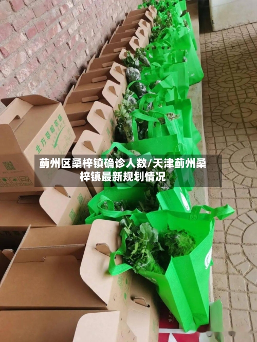 蓟州区桑梓镇确诊人数/天津蓟州桑梓镇最新规划情况-第2张图片