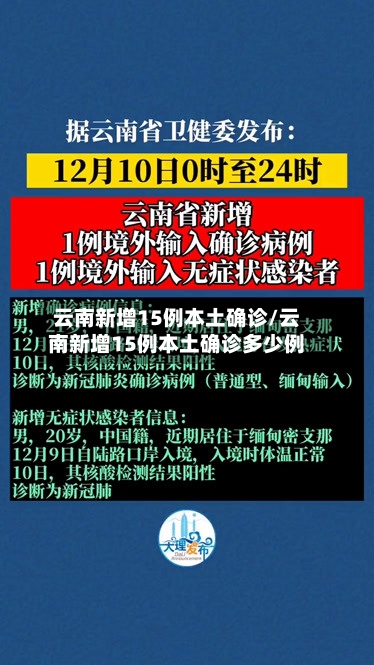 云南新增15例本土确诊/云南新增15例本土确诊多少例-第2张图片