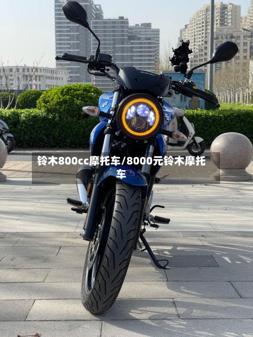 铃木800cc摩托车/8000元铃木摩托车-第2张图片