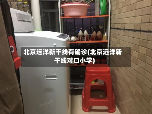 北京远洋新干线有确诊(北京远洋新干线对口小学)-第2张图片