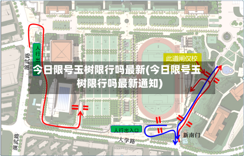 今日限号玉树限行吗最新(今日限号玉树限行吗最新通知)-第2张图片