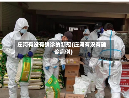 庄河有没有确诊的新冠(庄河有没有确诊病例)-第2张图片