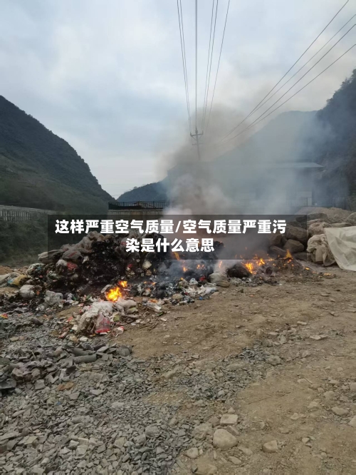 这样严重空气质量/空气质量严重污染是什么意思-第3张图片