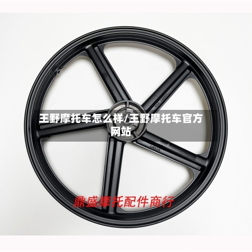 王野摩托车怎么样/王野摩托车官方网站-第2张图片