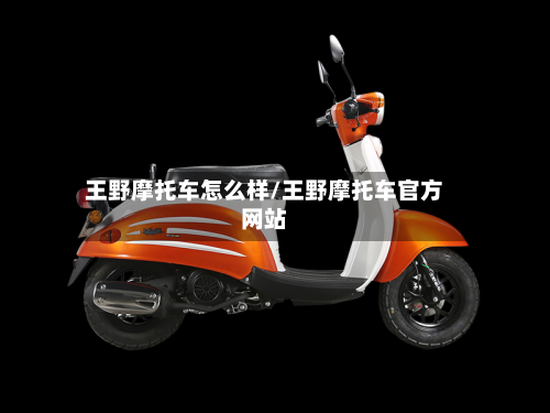 王野摩托车怎么样/王野摩托车官方网站