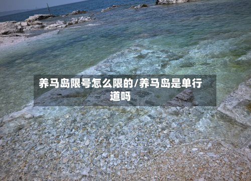 养马岛限号怎么限的/养马岛是单行道吗