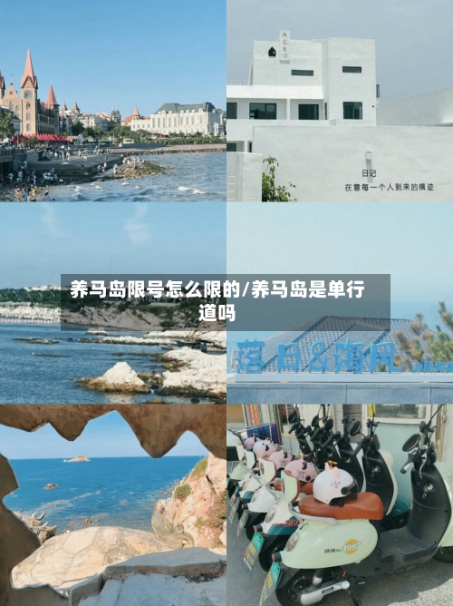 养马岛限号怎么限的/养马岛是单行道吗-第3张图片