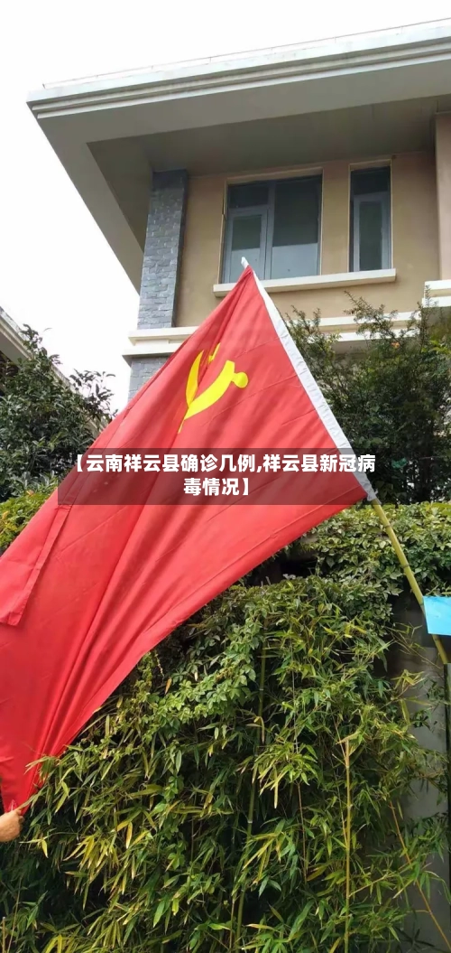 【云南祥云县确诊几例,祥云县新冠病毒情况】