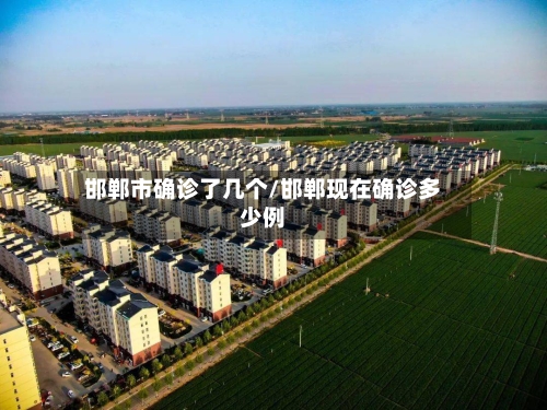 邯郸市确诊了几个/邯郸现在确诊多少例