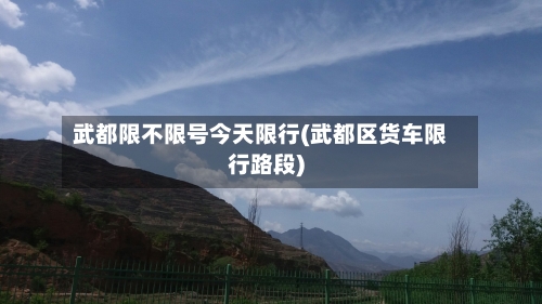 武都限不限号今天限行(武都区货车限行路段)