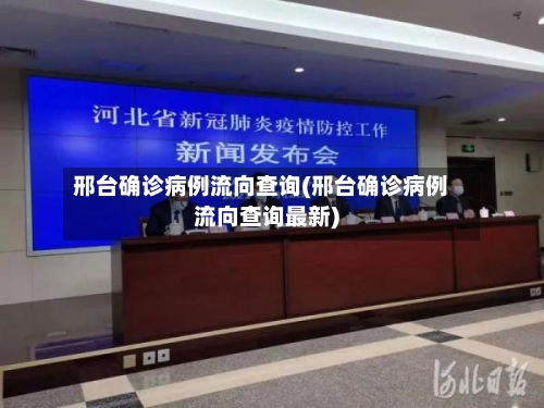 邢台确诊病例流向查询(邢台确诊病例流向查询最新)-第2张图片