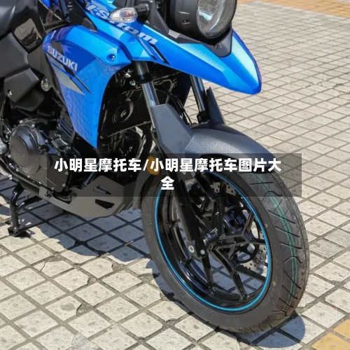 小明星摩托车/小明星摩托车图片大全