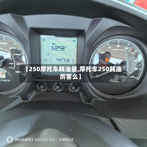 【250摩托车耗油量,摩托车250耗油厉害么】