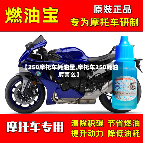 【250摩托车耗油量,摩托车250耗油厉害么】-第2张图片