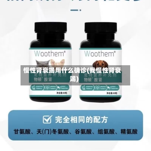 慢性肾衰竭用什么确诊(我慢性肾衰竭)