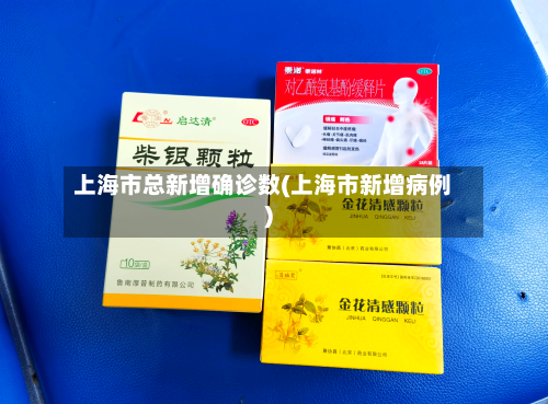 上海市总新增确诊数(上海市新增病例)-第3张图片