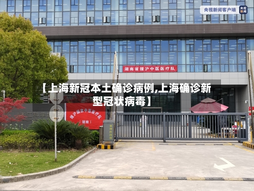 【上海新冠本土确诊病例,上海确诊新型冠状病毒】-第2张图片