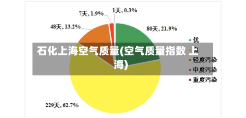 石化上海空气质量(空气质量指数 上海)-第2张图片